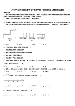2023年宝鸡市重点中学七年级数学第一学期期末复习检测模拟试题含解析.doc