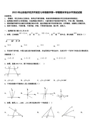 2023年山东临沂经济开发区七年级数学第一学期期末学业水平测试试题含解析.doc