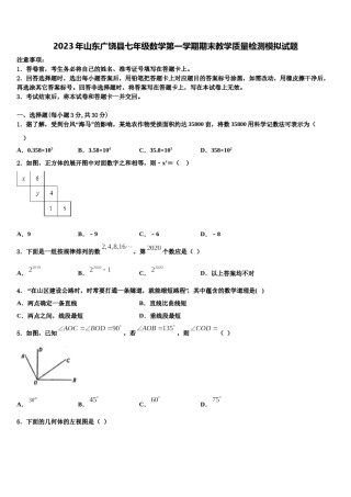 2023年山东广饶县七年级数学第一学期期末教学质量检测模拟试题含解析.doc