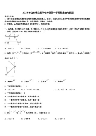 2023年山东枣庄数学七年级第一学期期末统考试题含解析.doc