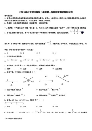 2023年山东滕州数学七年级第一学期期末调研模拟试题含解析.doc