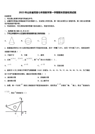 2023年山东省冠县七年级数学第一学期期末质量检测试题含解析.doc