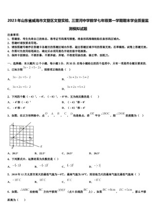 2023年山东省威海市文登区文登实验、三里河中学数学七年级第一学期期末学业质量监测模拟试题含解析.doc