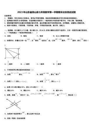 2023年山东省微山县七年级数学第一学期期末达标测试试题含解析.doc