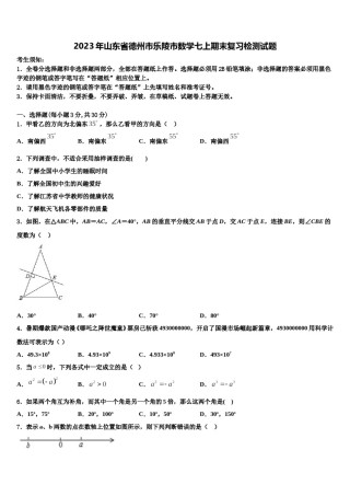 2023年山东省德州市乐陵市数学七上期末复习检测试题含解析.doc