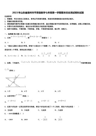 2023年山东省德州市平原县数学七年级第一学期期末综合测试模拟试题含解析.doc