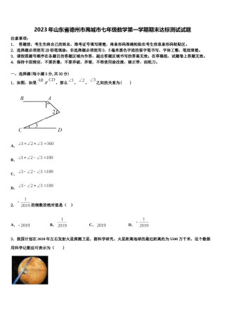 2023年山东省德州市禹城市七年级数学第一学期期末达标测试试题含解析.doc