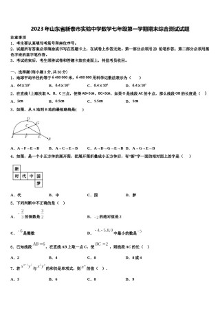 2023年山东省新泰市实验中学数学七年级第一学期期末综合测试试题含解析.doc