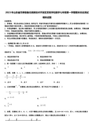 2023年山东省无棣县鲁北高新技术开发区实验学校数学七年级第一学期期末综合测试模拟试题含解析.doc