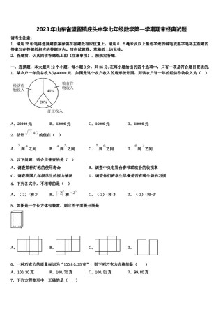 2023年山东省望留镇庄头中学七年级数学第一学期期末经典试题含解析.doc
