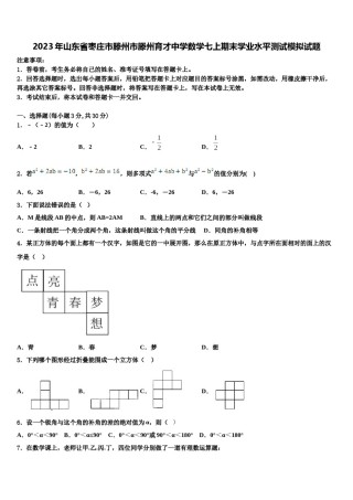 2023年山东省枣庄市滕州市滕州育才中学数学七上期末学业水平测试模拟试题含解析.doc