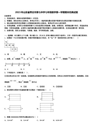 2023年山东省枣庄市第七中学七年级数学第一学期期末经典试题含解析.doc