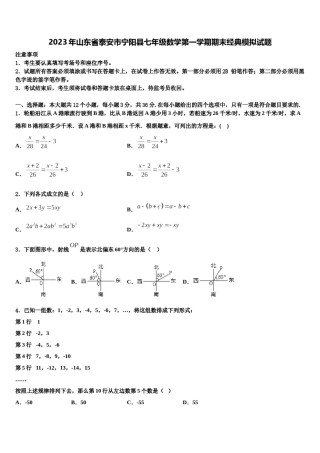 2023年山东省泰安市宁阳县七年级数学第一学期期末经典模拟试题含解析.doc