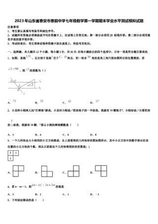 2023年山东省泰安市泰前中学七年级数学第一学期期末学业水平测试模拟试题含解析.doc