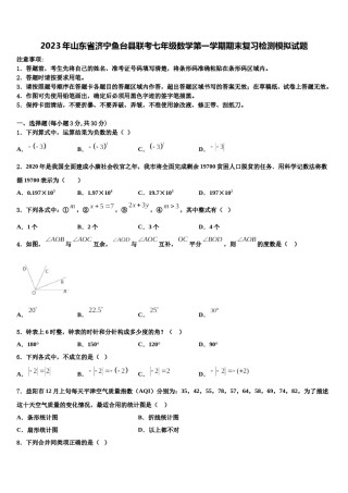 2023年山东省济宁鱼台县联考七年级数学第一学期期末复习检测模拟试题含解析.doc
