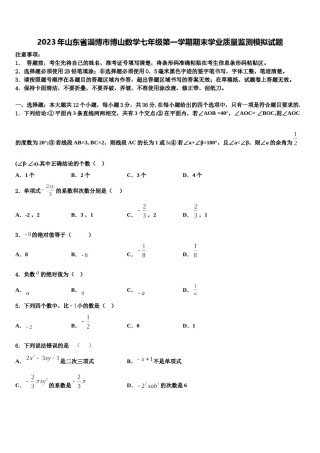 2023年山东省淄博市博山数学七年级第一学期期末学业质量监测模拟试题含解析.doc
