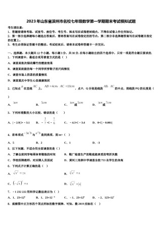 2023年山东省滨州市名校七年级数学第一学期期末考试模拟试题含解析.doc