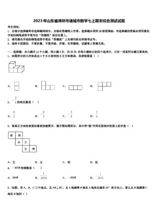 2023年山东省潍坊市诸城市数学七上期末综合测试试题含解析.doc