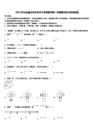2023年山东省王浩屯中学七年级数学第一学期期末复习检测试题含解析.doc