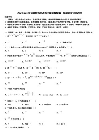 2023年山东省聊城市临清市七年级数学第一学期期末预测试题含解析.doc