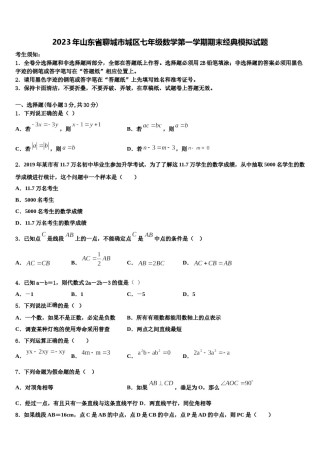 2023年山东省聊城市城区七年级数学第一学期期末经典模拟试题含解析.doc