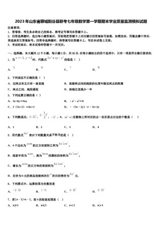 2023年山东省聊城阳谷县联考七年级数学第一学期期末学业质量监测模拟试题含解析.doc