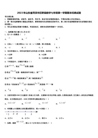 2023年山东省菏泽市巨野县数学七年级第一学期期末经典试题含解析.doc