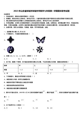 2023年山东省邹城市邹城中学数学七年级第一学期期末联考试题含解析.doc