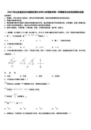 2023年山东省青岛市城阳区第九中学七年级数学第一学期期末达标检测模拟试题含解析.doc