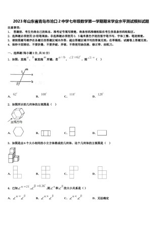 2023年山东省青岛市沧口2中学七年级数学第一学期期末学业水平测试模拟试题含解析.doc