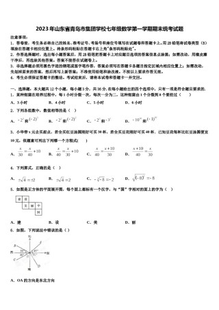 2023年山东省青岛市集团学校七年级数学第一学期期末统考试题含解析.doc