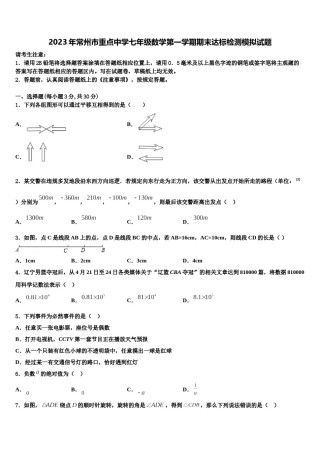 2023年常州市重点中学七年级数学第一学期期末达标检测模拟试题含解析.doc
