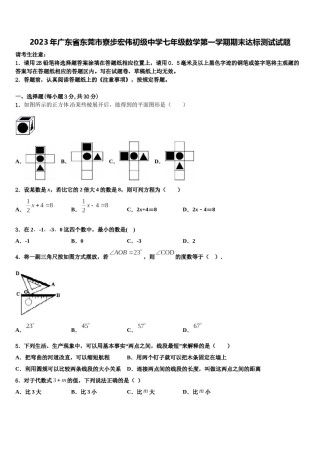 2023年广东省东莞市寮步宏伟初级中学七年级数学第一学期期末达标测试试题含解析.doc