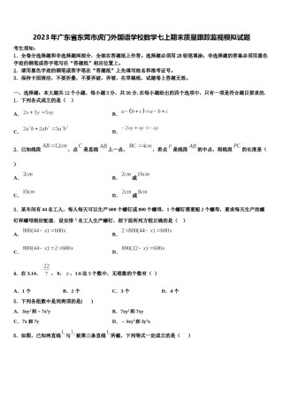 2023年广东省东莞市虎门外国语学校数学七上期末质量跟踪监视模拟试题含解析.doc
