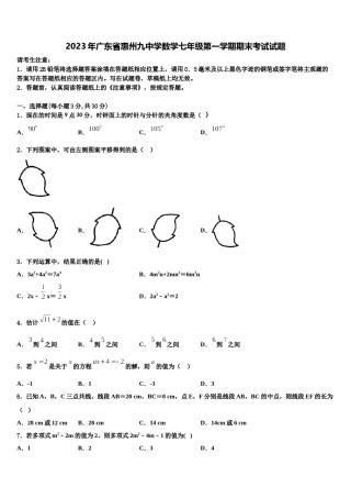 2023年广东省惠州九中学数学七年级第一学期期末考试试题含解析.doc