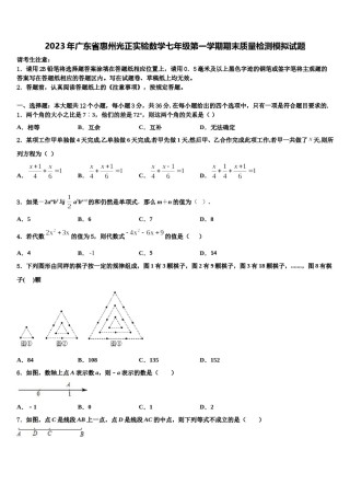 2023年广东省惠州光正实验数学七年级第一学期期末质量检测模拟试题含解析.doc