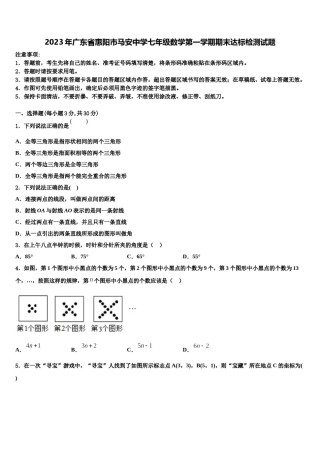 2023年广东省惠阳市马安中学七年级数学第一学期期末达标检测试题含解析.doc