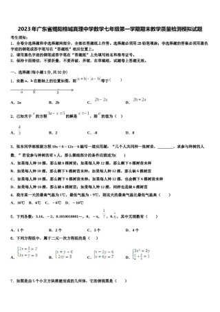 2023年广东省揭阳榕城真理中学数学七年级第一学期期末教学质量检测模拟试题含解析.doc
