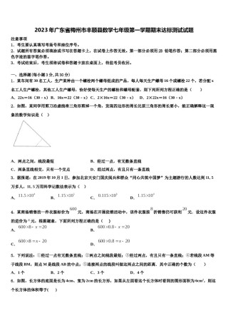 2023年广东省梅州市丰顺县数学七年级第一学期期末达标测试试题含解析.doc