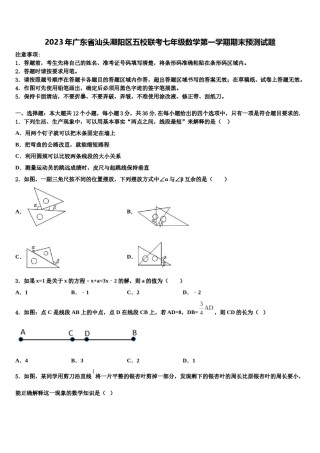 2023年广东省汕头潮阳区五校联考七年级数学第一学期期末预测试题含解析.doc