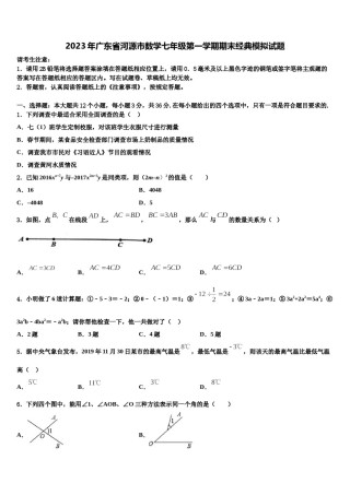 2023年广东省河源市数学七年级第一学期期末经典模拟试题含解析.doc