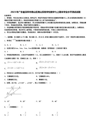 2023年广东省深圳市南山区南山实验学校数学七上期末学业水平测试试题含解析.doc