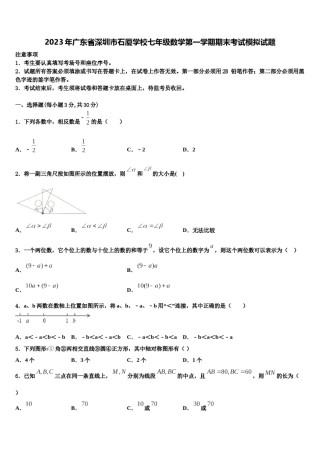 2023年广东省深圳市石厦学校七年级数学第一学期期末考试模拟试题含解析.doc