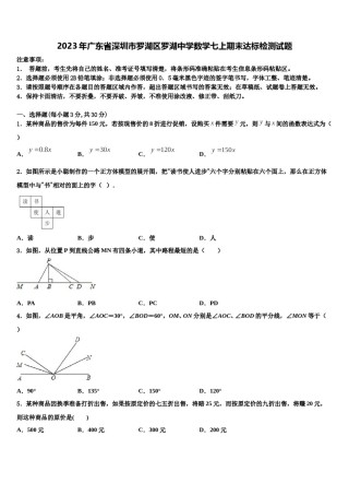 2023年广东省深圳市罗湖区罗湖中学数学七上期末达标检测试题含解析.doc
