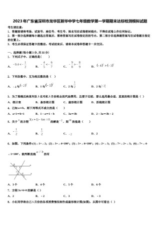 2023年广东省深圳市龙华区新华中学七年级数学第一学期期末达标检测模拟试题含解析.doc