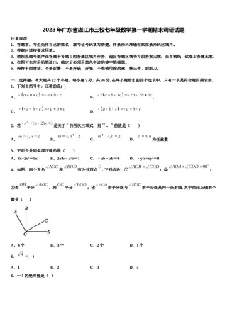 2023年广东省湛江市三校七年级数学第一学期期末调研试题含解析.doc