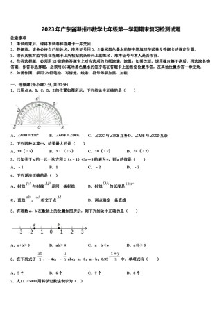 2023年广东省潮州市数学七年级第一学期期末复习检测试题含解析.doc