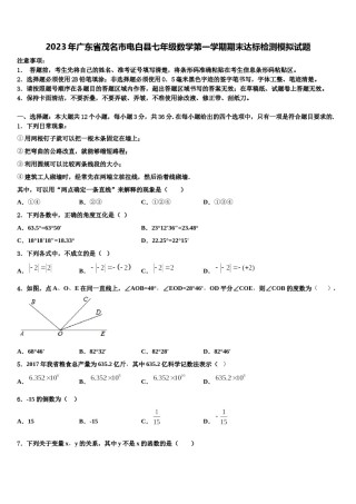 2023年广东省茂名市电白县七年级数学第一学期期末达标检测模拟试题含解析.doc
