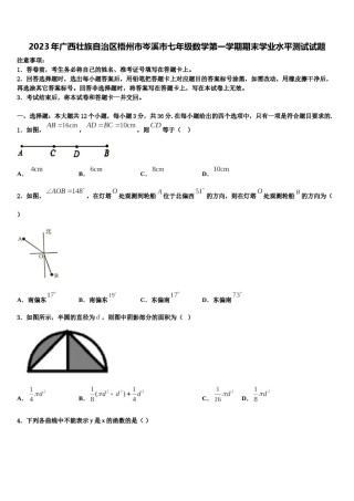 2023年广西壮族自治区梧州市岑溪市七年级数学第一学期期末学业水平测试试题含解析.doc