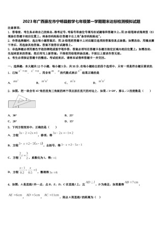 2023年广西崇左市宁明县数学七年级第一学期期末达标检测模拟试题含解析.doc